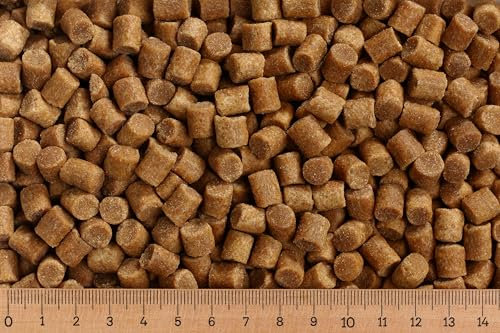 (Grundpreis 2,50 Euro/kg) - 25 kg Premium Koifutter Coarse 8,0 mm - Herbst/Winter - sinkend