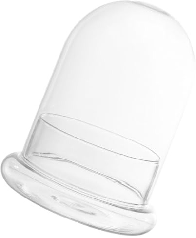 DOITOOL Klare Ökologische Glasvase mit Deckel Großes Terrarien glasglockengehäuse für DIY Moos Pflanzenhalter und Dekoratives Ökosystem für Zuhause Büro und Garten