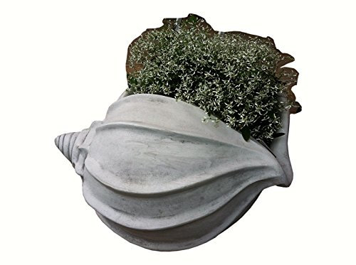 Antikes Wohndesign 2 x Pflanzmuschel Pflanzkübel Blumentopf Blumenschale Blumenkübel