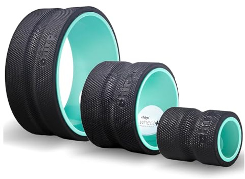 Chirp Roll-Schaumstoffrolle – gezielte Rückenschaumrolle zur Linderung von Rückenschmerzen, Tiefengewebe-Muskelmassage, Triggerpunkt-runde Schaumstoffrolle – Schaumstoffrolle mit hoher Dichte für