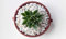 Decorative Stones, Pebbles & Chippings | Marble | Pot Topper | Succulents | Garden & Home Decor (Alpine White Chippings 1kg)