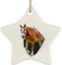 Christbaumschmuck Mit Hanfseil Weihnachtsbaumschmuck Keramik Hängende Ornamente Lustiges Haflinger-Pferd, Das Aus Rissiger Wand Kommt