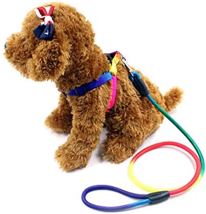 GRIRIW Rainbow Adjustable Dog Leash and Traction Rope Nylon Pet Supplies for Medium Dogs Fashionable and Comfortable Harness for Active Puppies