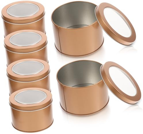 Caja de Metal 6 Piezas Maceteros de Hojalata Macetas Sencillas Macetas Rústicas para Plantas de Interior Macetas Pequeñas para Suculentas Macetas de Escritorio Macetas Decorativas para Jardín