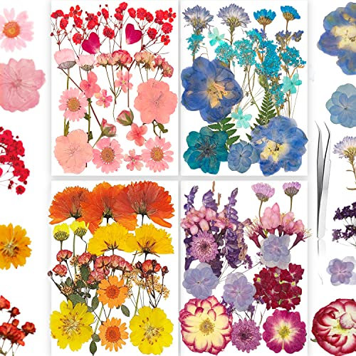 YoothBro 125 Stück gedrückte getrocknete Blumen mit Schmetterlingsaufkleber für Harzform, echte Natur-getrocknete gepresste Blumenset für DIY-Schmuckherstellung Gorgeous