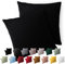 Blumtal Fundas de Almohada 60x60 cm (Juego de 2) - Fundas de cojín de Microfibra para sofá con Cierre de Sobres, Extra Suaves y Lavables, Certificado Oeko-Tex - Negro