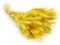 Enchanted Dekogras Getrocknetes Gras Ziergras Hasenschwänze Lagurus Ovatus Samtgras Häschen-Schwanzgras Trockenblumen Natürlich Boho 120 - 150 Stück 100 g Gelb