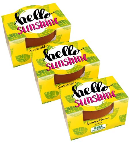 Bull & Bear 3er Set Mini Pflanzset 'hello sunshine' mit Sonnenblumen Samen im Topf 4,5cm, Zwergsonnenblumen als Anzuchtset mit Pflegeanleitung