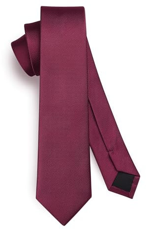 HISDERN Herren Krawatte Kastanienbraun Schmale Einfarbig Seide Krawatten für Herren Klassische Formelle Elegante Schlipse Hochzeit Party Business Krawatte 6cm