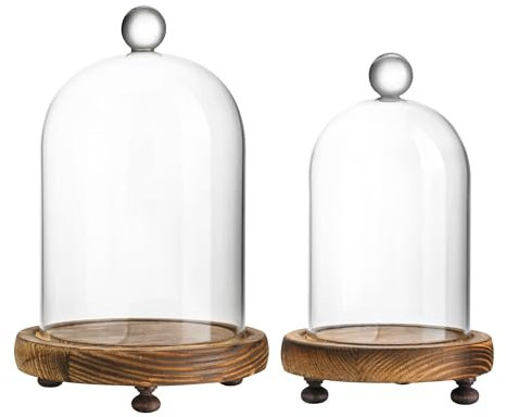 ZEERSHEE Pack 2 Clear Glass Dome with Wooden Base Glass Display Cloche Bell Shape Dome for Antique Collectibles Specimens Plants Dustproof
