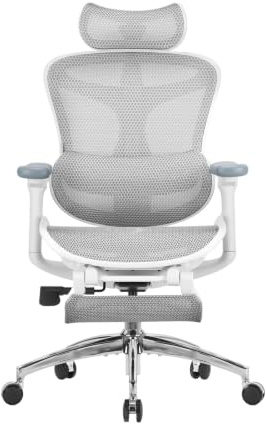 SIHOO SIHOOChaise de Bureau Ergonomique, avec Soutien Lombaire (150 kg)