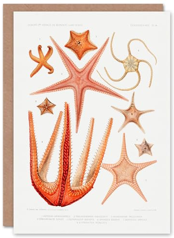 Artery8 Vintage Marine Life Art Card Starfish Species Biodiversity