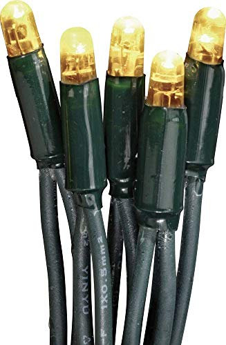 hellum LED Lichterkette Außen, verlängerbar Lichterkette mit Steckdose, Verlängerungs-Set ohne Netzkabel, 3,9m 40 LEDs warm-weiß, Kabel grün, Weihnachtsbeleuchtung für Garten Party 555103