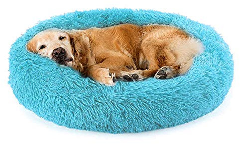 Yurun Bett für Katze, Hundekissen Flauschig Katzenbett Set mit Decke, Runden Katzenbett Plüsch hundebett Weich Warm Haustierbett für Katzen und Kleine Hunde hellgrau 60cm, Blau