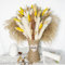 Pampas Séchées Décoration Fleur sechees Naturel DIY Fleurs séchées Bouquet Idéal pour Boho Salon-Mariage Chambre à Coucher et vases (LZGSGO-0113)