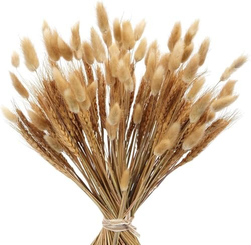 Minnhua 160PCS Bouquet di Pampas Grass Essiccato Fiori Secchi Decorativi