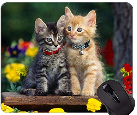 Mauspad mit genähtem Rand, niedliche graue Katzenblume des Kätzchens rutschfeste Gummibasis Mousepad