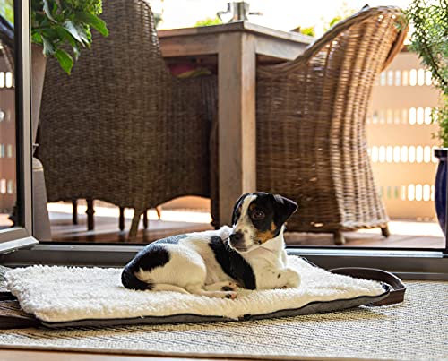 Sleepy Fox® - Reise-Hundebett - Tragbares Restaurant-Hundebett M/L