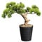 CREATIV green künstlicher Bonsai Kiefer Baum 40 x 40cm I Bonsai Baum künstlich mit Kunststoff-Topf 13,5 x 15cm in schwarz I künstliche Pflanzen als Wohnzimmer Deko I Kunstpflanze Bonsai mit Kies