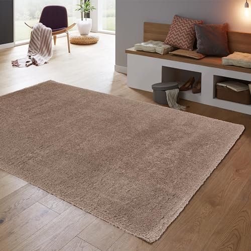 Astra Hochwertiger Teppich Wohnzimmer, Schlafzimmer - Hochflorteppich weich - flauschig & farbenfroh - einfarbiges Design - Teppich Braun 80 x 150 cm