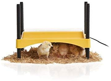 Criadora Brinsea EcoGlow Safety 600 – Criadora de seguridad para pollitos – Placa calefactora para pollitos como alternativa a la lámpara de calor – Fabricada en UK – Garantía de 3 años.
