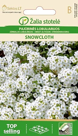 Seklos LT | STEINKRAUT ALYSSUM SNOWCLOTH | Einjährige Pflanze | Blumensamen | Mit den kleinen und angenehm duftenden Blüten | Für Beet, Balkon, auch in Kübeln, für Grab | 1 Pack