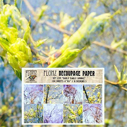 Decoupage-Papier-Set (24 Blatt, 15,2 x 15,2 cm), für Serviettentechnik, Basteln und Scrapbooking
