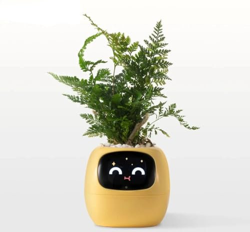 Générique Pot de Fleurs Intelligent, Jardinière Intelligente pour des Plantes Amusantes et connectées (Jaune)