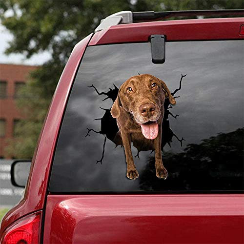 Ocean Gift Chesapeake Bay Retriever Auto-Aufkleber, Hund, Auto-Aufkleber, 2 Stück, realistische Chesapeake Bay Retriever Aufkleber für Autofenster, Wände, Serie 63, Größe 30,5 x 30,5 cm