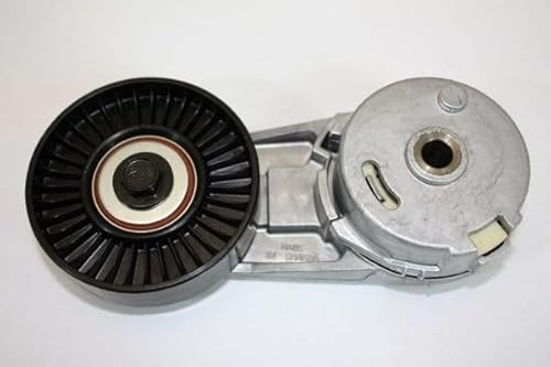 AUTOMEGA 160094110 Spannarm Keilrippenriemen Kompatibel mit OPEL ZAFIRA B A05 0614533 24430296 614533