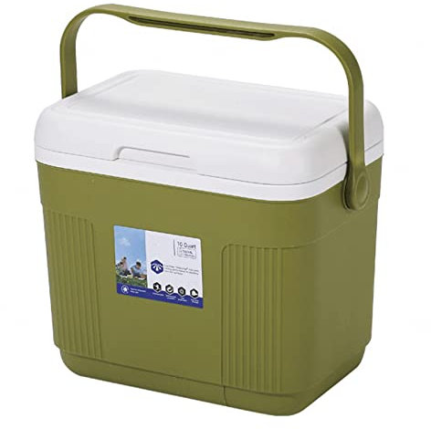 NIBHZ Electric Cooler Box And Stove,Outdoor Portable Cooler Refrigerator For Home,Camping,Camping,Fishing,Fishing,Green-22L
