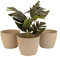 Home Garden Ornaments Pot de Fleur Interieur - Pots de Fleurs Exterieur - Rayés Pot Plante Intérieur Lot de 3 - Décoratif Pot de Fleur Exterieur (Diamètre: 18cm, Couleur: Coton)