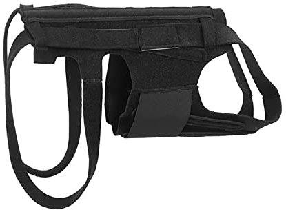 Hund Tie Out Cables Hunderückenstütze PainRelief Dachshund Corgien (B, One Size)