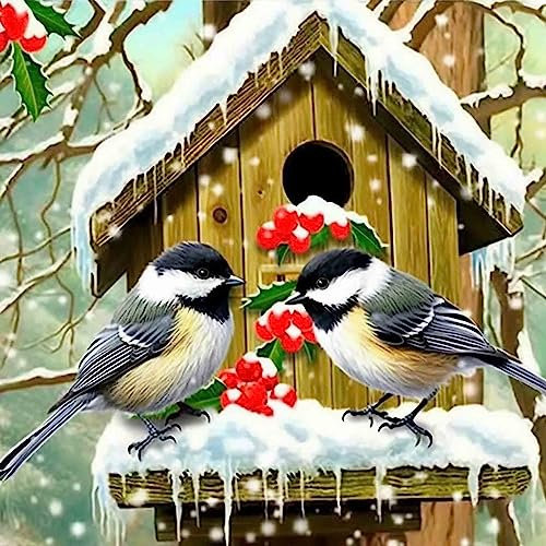 Bimkole DIY 5D Diamond Painting Zubehör Vogelnest Winter, Tier Diamant Malerei Kit Voll Runde Bohrer Malen nach Zahlen Malerei Stickerei Kreuzstich Diamond Dekoration 30X30 cm