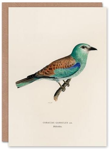 Artery8 Magnus Von Wright Art Card European Roller Bird