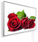 Könighaus 800W Infrarotheizung mit Bild in HD Qualität ✓ Energiesparend ✓ 5 Jahre Garantie ✓ Doppelter überhitzungsschutz ✓ Infrarot Wandheizung ✓ Motiv: 179. Rote Rosen