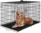 FDW - Jaula para perro plegable con 2 puertas, bandeja extraíble, 122 x 75 x 81 cm, jaula de transporte para perro, conejo, cachorro y animales domésticos, de metal, color negro