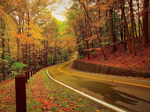 1500 Stück Puzzles für Kinder im Alter von 14 Jahren,-Herbst, Wälder, Straße 87x57cm