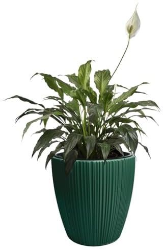 B2C Flowerpot Ridged Planter with removable insert Indoor Outdoor Modern Vertical grooves textured for home office patio garden decoration (Pine Green, W40cm x H40cm)
