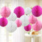 Time to Sparkle 12 Pack Tissue Paper Honeycomb Balls, Poms Birthday Baby Shower Wedding Decorations (Pink)