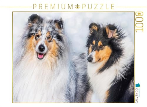CALVENDO Puzzle Collies - Rüde und Hündin | 1000 Teile Lege-Größe 64 x 48 cm Foto-Puzzle für glückliche Stunden
