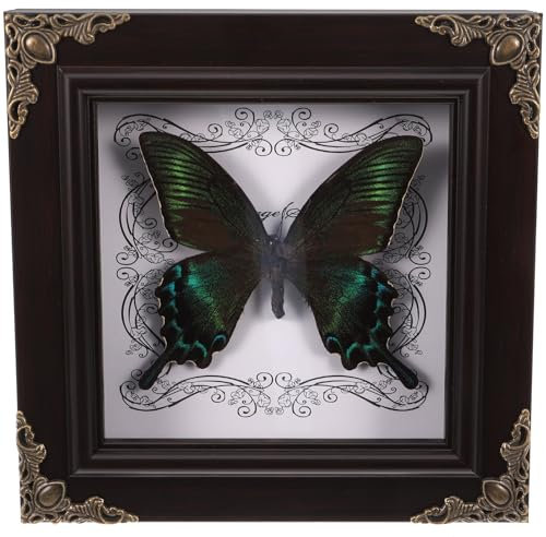 Ciieeo Fotorahmen Mit Schmetterlingsmuster Echter Schmetterling Gerahmt Konservierte Schmetterlingsausstellung Schmetterling-Wand- Büroexemplar 3D Sammlung Westlicher Stil Hölzern