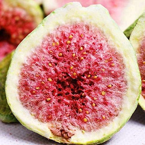Glorious Inheriting origine asiatica congelato essiccato fichi di pezzo croccante con pacchetto netto di 1KGS / 1,000 grammi