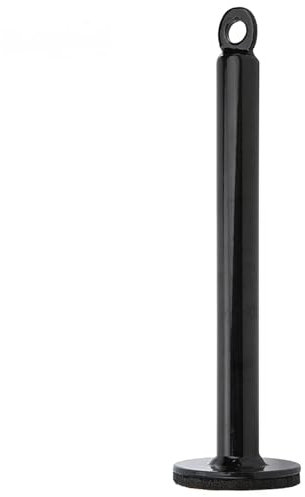 Telaio di Supporto per Fetta di bilanciere,Piastra per bilanciere Vassoio Pesi,Staffa Fissa in Acciaio Inossidabile Caricatore Perno di Caricamento Caricatore per Piastra di Peso Penna di Caricamento