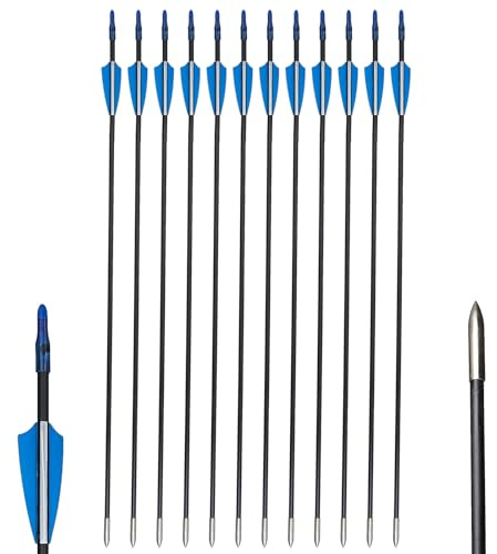 Toparchery 12er/24er Fiberglaspfeil für Bogenschießen 31Zoll Spine 800 | Für Recurvebogen,Sportbogen,Einsteigerbogen,für Zielübungen im Freien, Bogensport,für Anfänger, Hobby-Schützen