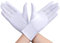 Uitndvyte 2 Stück Qualitäten Präsentationshandschuhe Spandex Handschuhe Nylon Baumwollhandschuhe Für Inspektions Und Servierkostüme