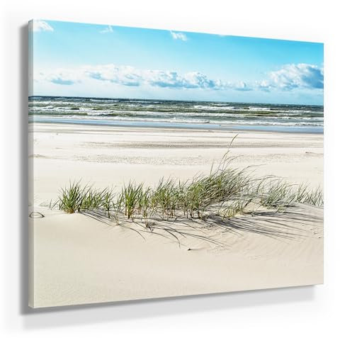 BilderKing Atemberaubendes Ostsee Leinwand-Bild 50x50cm, Motiv Dünen-Gras. Ein einzigartiges Wandbild als Deko für Wohnzimmer, Schlafzimmer, Küche. Aufgespannt auf Holzrahmen