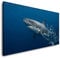 Hai Unterwasser 120x 60cm Panorama Leinwand Bild XXL Format Wandbilder Wohnzimmer Wohnung Deko Kunstdrucke