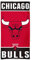 McArthur NBA Strandtuch 150x75 cm Chicago Bulls