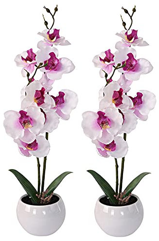 Murago - 2er Set Künstliche Orchidee im Keramik Topf ca.39cm - Kunstblumen Kunstpflanzen Orchideen Innendekoration Muttertag Weiß
